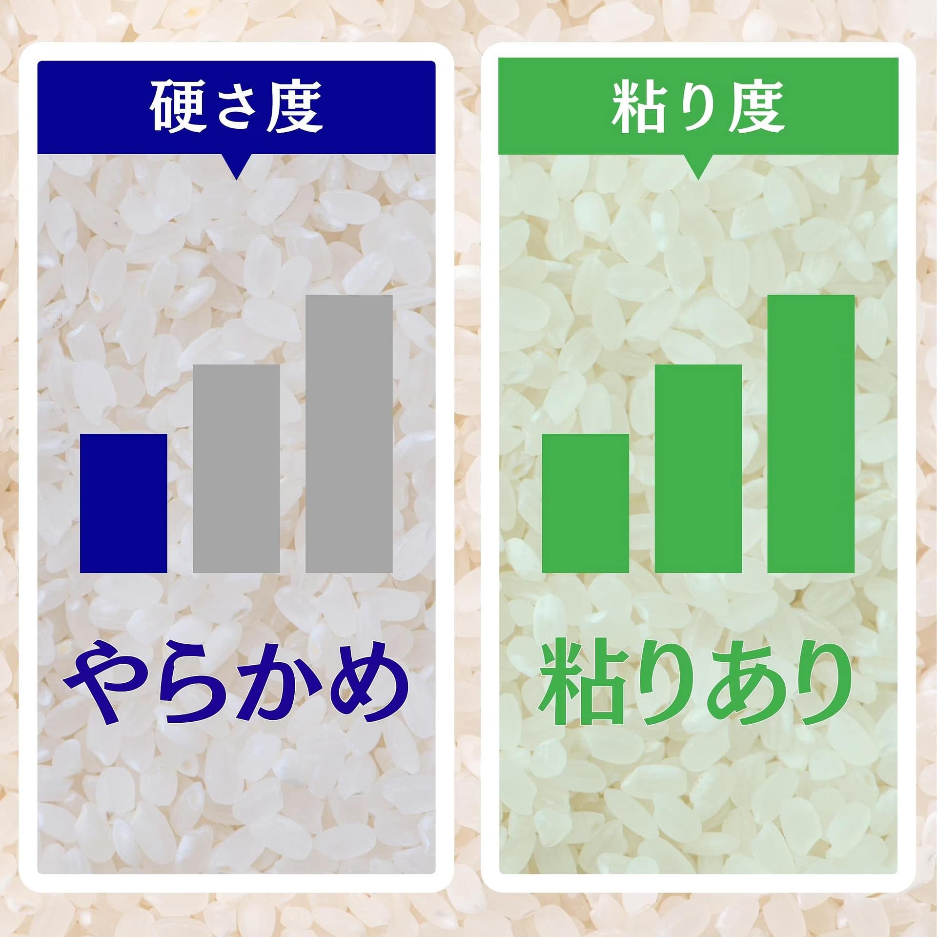 ２Kg「太陽ミルキークイーン」【有機JAS認定】 - 画像 (4)