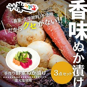手作り酵素ぬか漬けおまかせ3点セット
