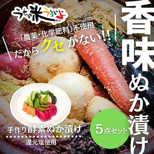 手作り酵素ぬか漬け5点セット
