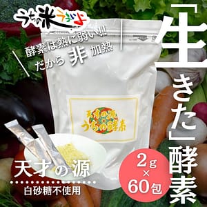 【天才の源®︎うちの酵素】ステック2g×60包