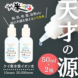 徳用2個セット【高濃度のシリカ飲料】天才の源®「うちのケイ素水素イオン水」