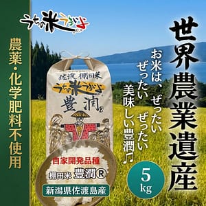 5kg 新潟県佐渡島産棚田米〜豊潤®2025年度産