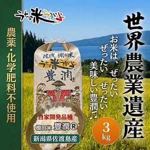 3kg 新潟県佐渡島産棚田米〜豊潤®2025年度産