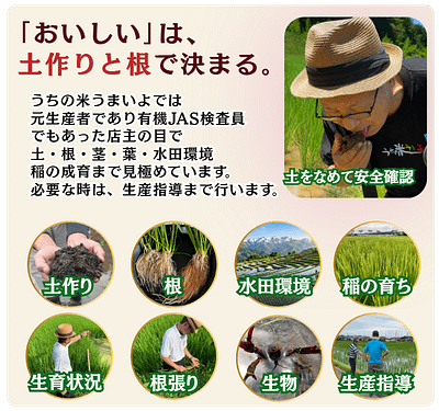 rice1